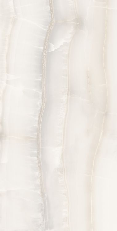 Akoya White Matte 24 x 48